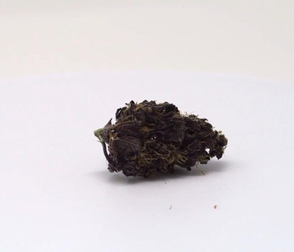 Buy Blackberry Kush online in Barcelona