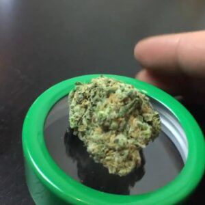 Buy Blue Dream Online in Barcelona