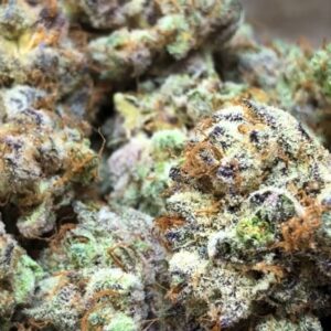 Buy Purple Haze Online In Barcelona