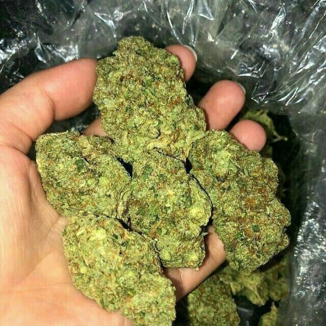 buy weed online in Barcelona